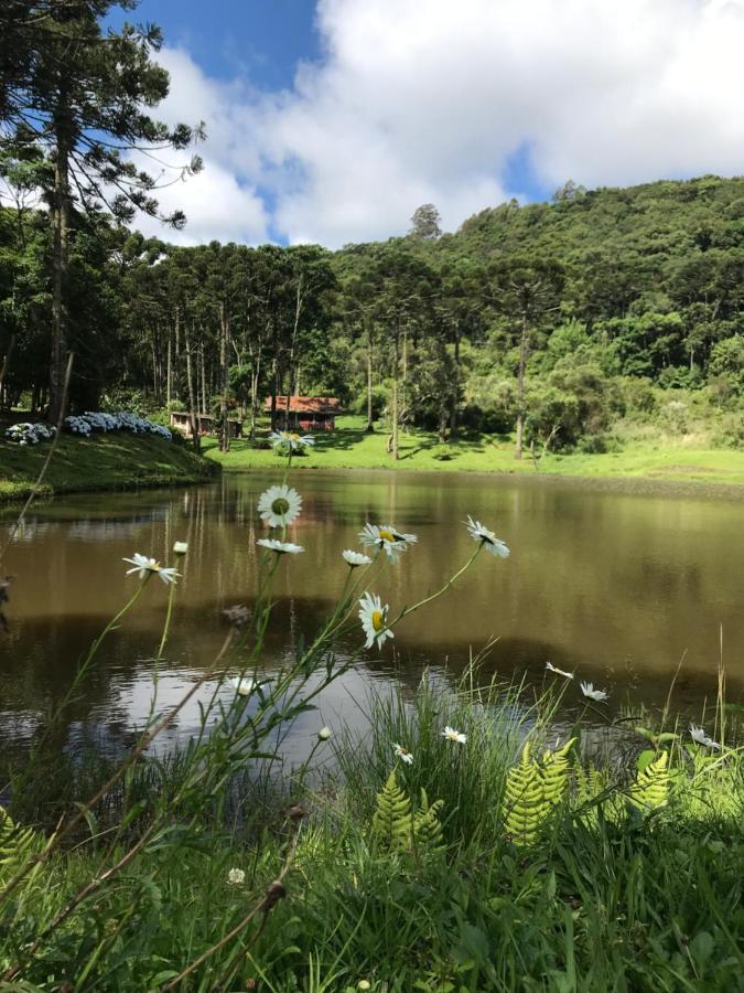 Green Mountains Hotel มงชิแวร์จิ ภายนอก รูปภาพ