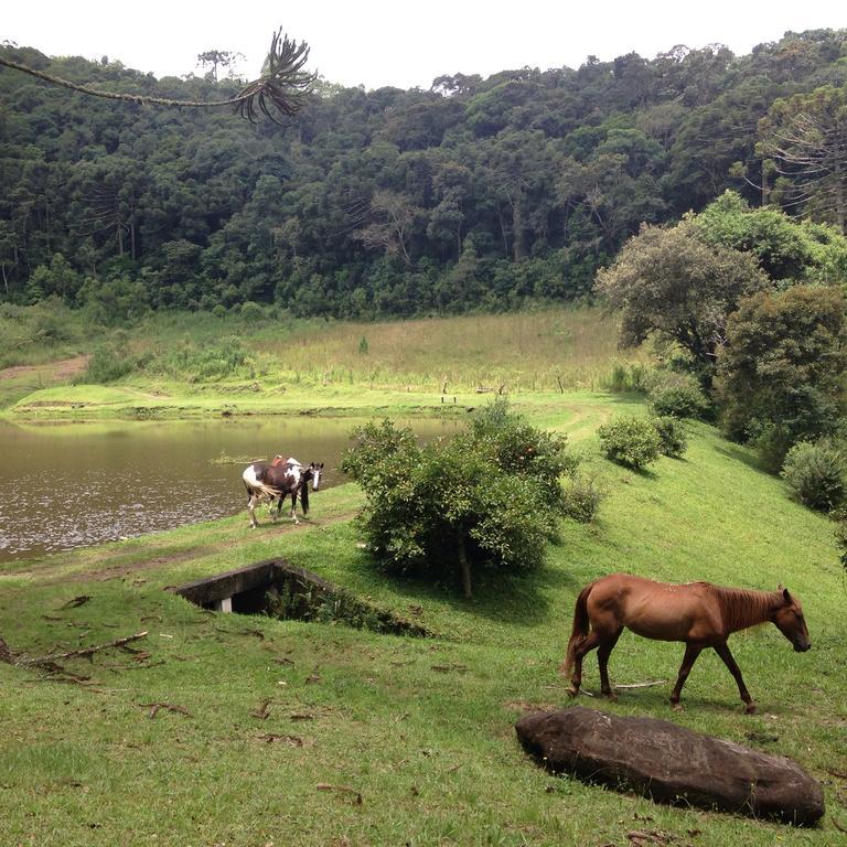 Green Mountains Hotel มงชิแวร์จิ ภายนอก รูปภาพ